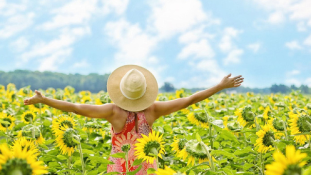 Figura femminile a braccia aperte in un campo di girasoli - © Pixabay.