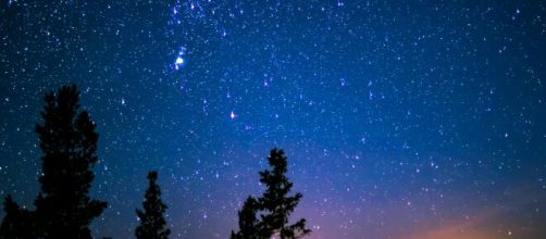 Cielo stellato con alberi al crepuscolo -© Pexels