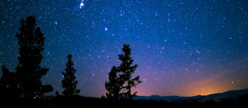 Cielo stellato e alberi © Pexels.com