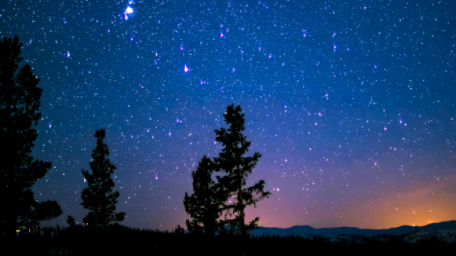 Cielo stellato e alberi © Pexels.com