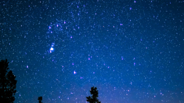 Cielo stellato e alberi © Pexels.com