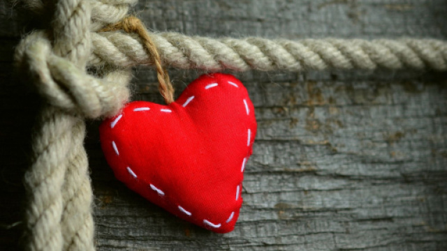 Cuore rosso legato ad una corda su tronco d'albero - © Pixabay