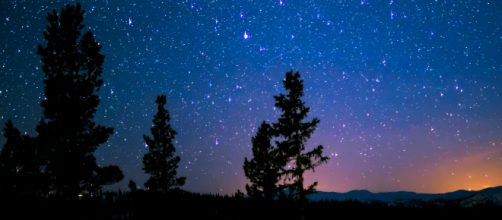 Cielo stellato e alberi © Pexels.com