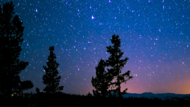Cielo stellato e alberi © Pexels.com