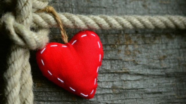Cuore rosso trapuntato legato al tronco di un albero - © Pixabay