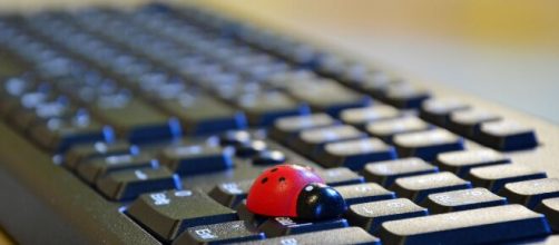 Tastiera del computer con una coccinella © Pixabay