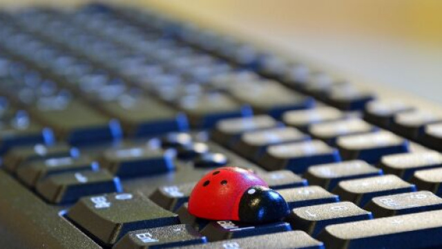 Tastiera del computer con una coccinella © Pixabay