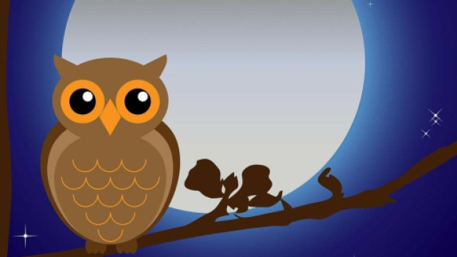 Gufo con luna piena e stelle - &copy; Foto Bing IA