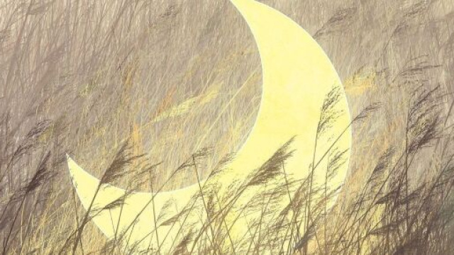 Luna su un campo di grano &copy; Pixabay.