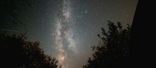 Cielo stellato e alberi - © Pexels.