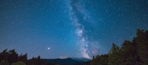 Cielo stellato e alberi © Pexels.com