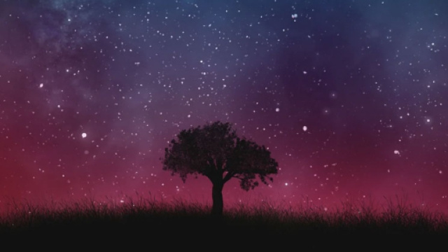 Albero in un campo di stelle - © Pixabay.