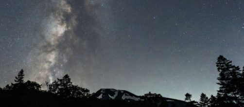 Un cielo stellato sopra le ombre di un bosco - © Pixabay.