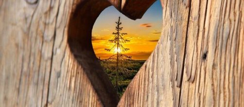 Cuore di legno che incornicia un tramonto © Pixabay