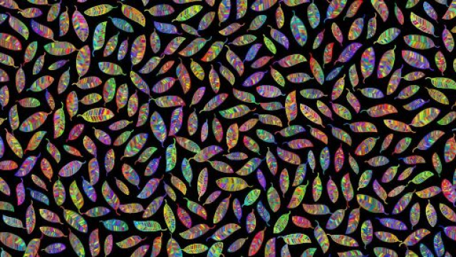 Foglie colorate ©Immagine di Pixabay