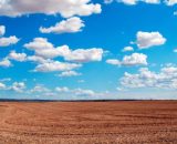 Un campo e un cielo poco nuvoloso © Pexels.com