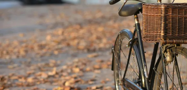 Bicicletta e foglie secche - © Pexels.