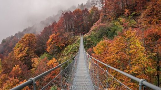 Un paesaggio autunnale (© Pixabay)
