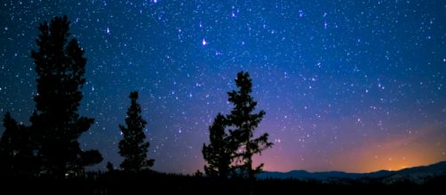 Cielo stellato e alberi © Pexels.com