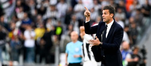 Thiago Motta, allenatore della Juventus. Foto © Juventus