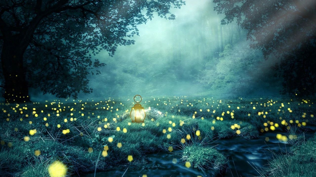 Una lanterna in un bosco (© Pixabay).