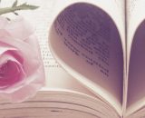 Rosa con pagine di libro piegate a cuore - © Pixabay