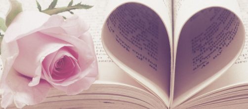 Rosa con pagine di libro piegate a cuore - © Pixabay