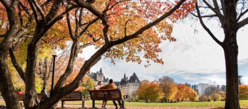 Un parco in autunno (© Pixabay).