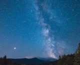 Cielo stellato e alberi © Pexels.com