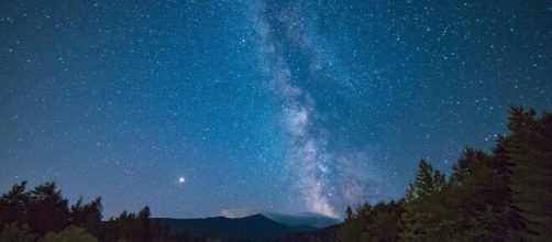 Cielo stellato e alberi © Pexels.com