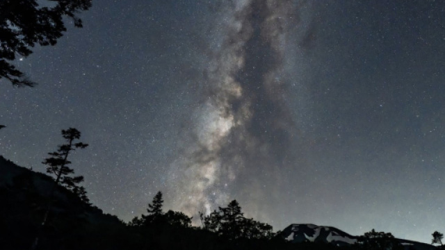 Un cielo stellato su un folto bosco &copy; pixabay.com