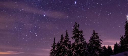 Cielo stellato con alberi innevati - © Pexels.