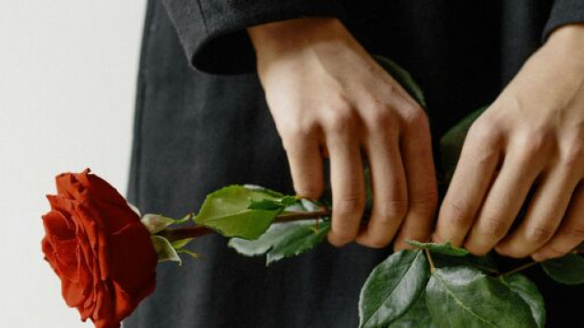Una rosa fra le mani - © Pexels