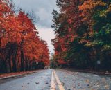 Strada con aberi in autunno © pexels.com.