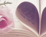 Rosa su libro con pagine a formare un cuore - © Pixabay.