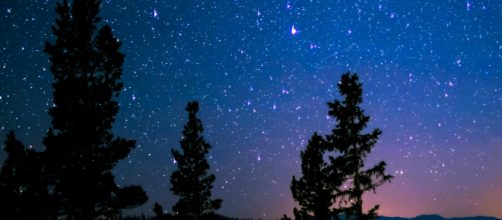 Cielo stellato e alberi © Pexels.com