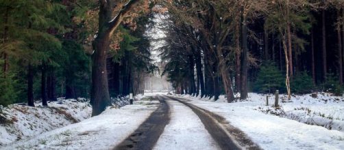 Una strada innevata fra gli alberi © Pexels.com