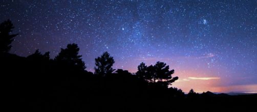 Cielo stellato e alberi © Pexels.com