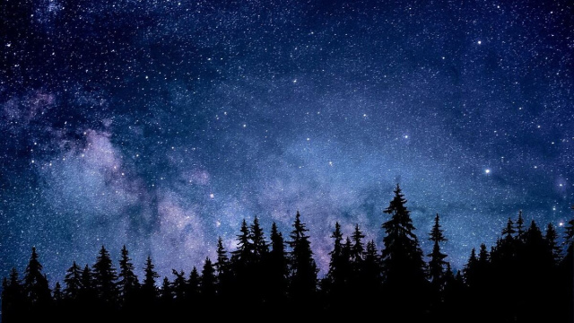 Una foresta e un panorama stellato © Pixabay.