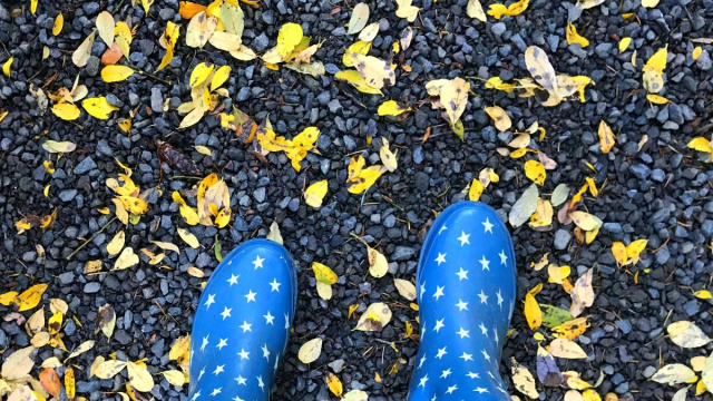 Stivali blu a stelle bianche tra foglie autunnali gialle e arancioni © Pexels.