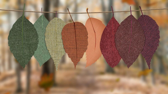 Delle foglie secche (&copy;pixabay.com)