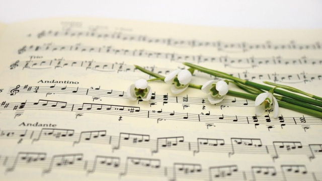 Spartito musicale con indicazioni di tempo 'Andantino' e 'Andante' – © Pixabay.