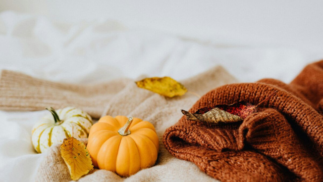 Zucche con maglione di lana accanto-©Pexels.