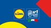 Lidl assume Sales Analyst ad Arcole con un contratto a tempo determinato 12 mesi