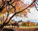 Coppia seduta su una panchina (©pixabay.com)