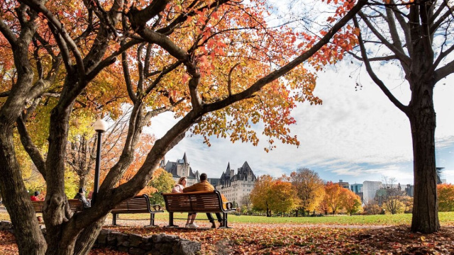 Coppia seduta su una panchina (&copy;pixabay.com)