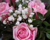 decorazione natalizia di rose rosa © Pixabay