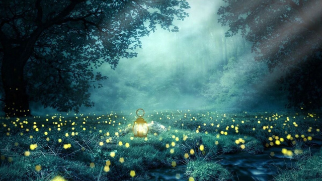 Una lanterna e delle lucciole (&copy;pixabay.com)