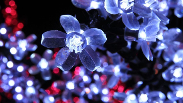 Luci a LED a forma di fiore (&copy; Pixabay).