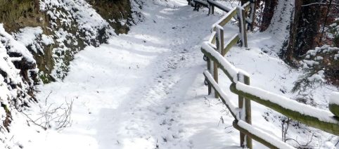 L'oroscopo settimanale dal 22 al 28 dicembre e punteggi: Cancro poco fortunato